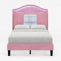 Twin Size Bed Frame with LED Lights Pink